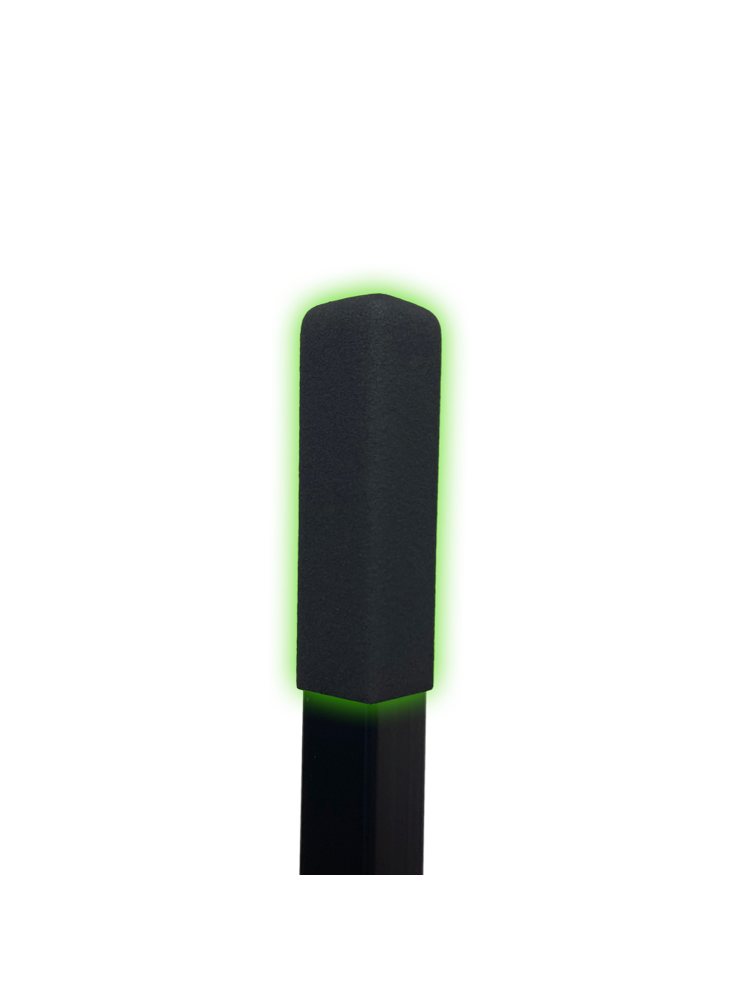 Charger Boats® Trailer Steps - BoatEFX